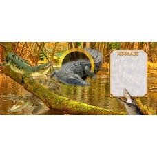 TRI-INSPIRAZION GREETING CARD The Swamp